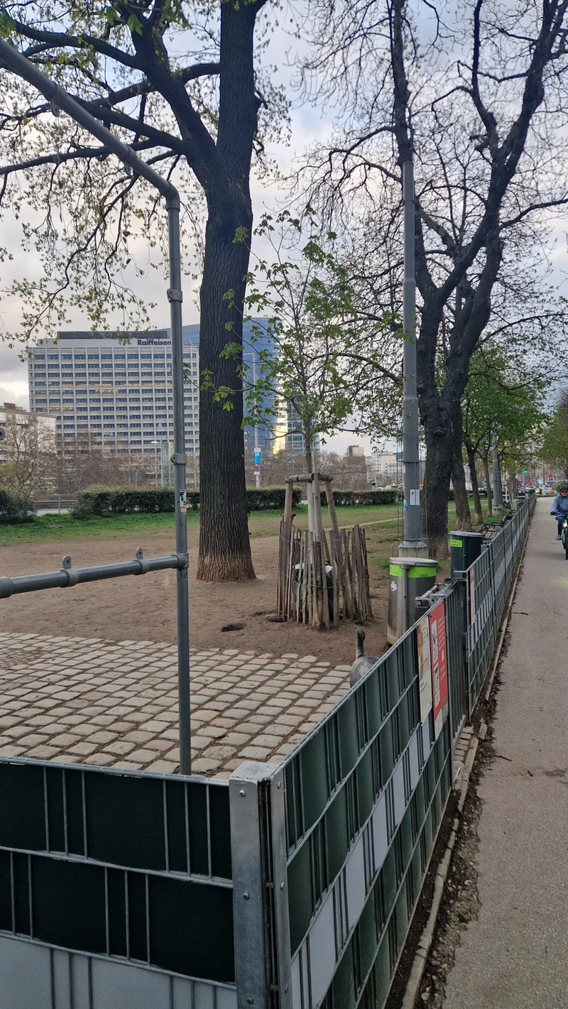 PA Franz-Josefs-Kai im 1. Innere Stadt – Auslaufbereich (Foto 3)