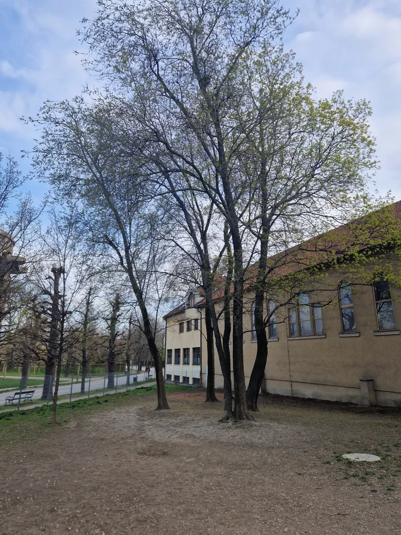 Augarten West (Bundesgärten) im 2. Leopoldstadt – Eingang (Foto 4)