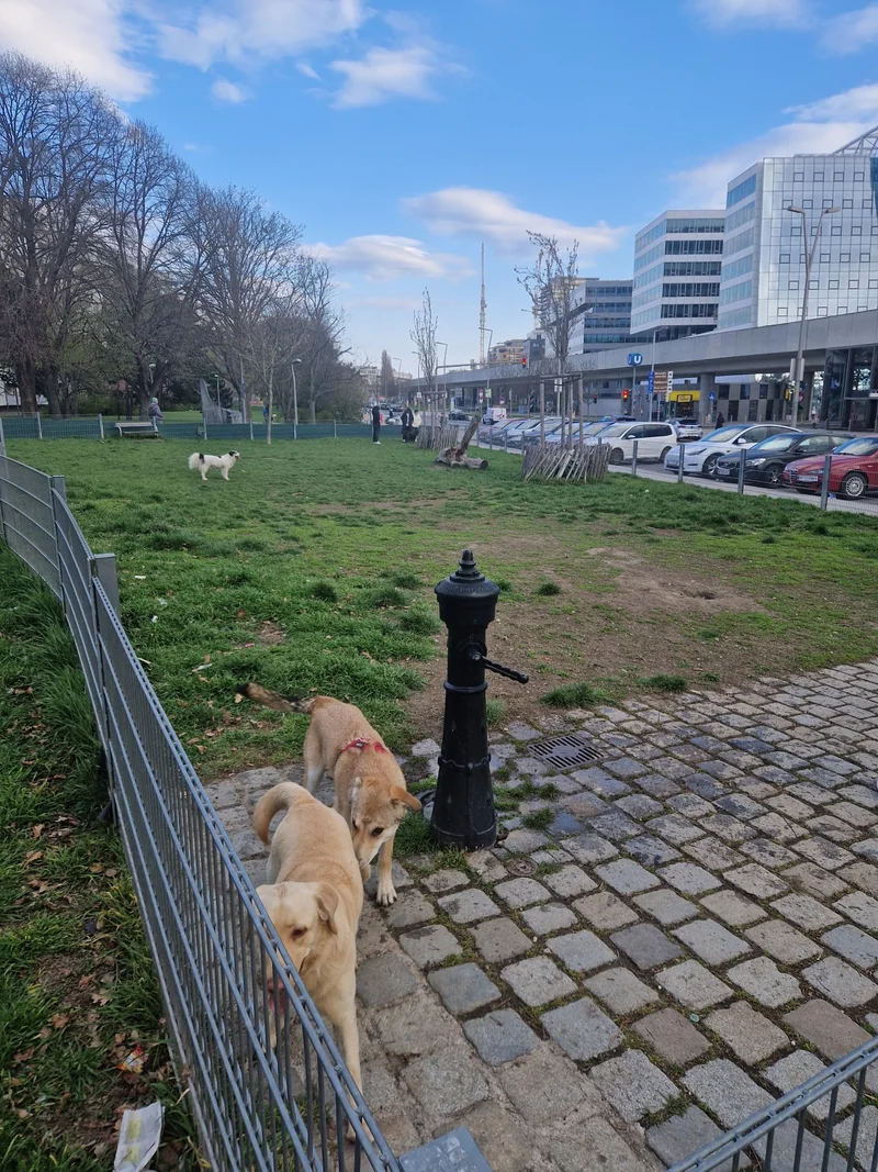 Erika-Morini-Park im 2. Leopoldstadt – Eingang (Foto 4)