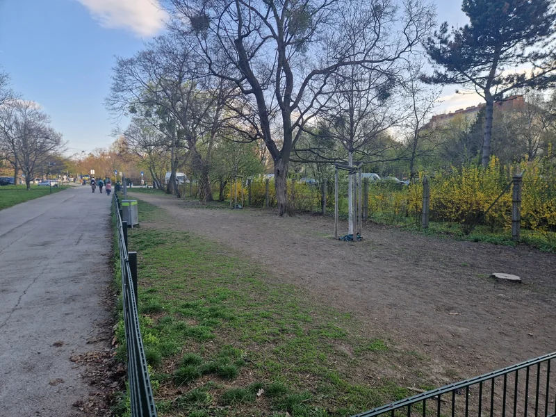 Prater - Laufbergerwiese im 2. Leopoldstadt – Auslaufbereich (Foto 3)