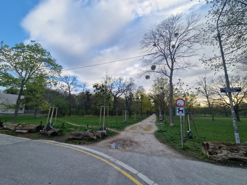 Prater - Pelzmais im 2. Leopoldstadt – Hundezone (Foto 1)