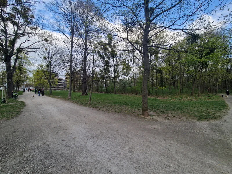 Prater - Pelzmais im 2. Leopoldstadt – Hundewiese (Foto 2)