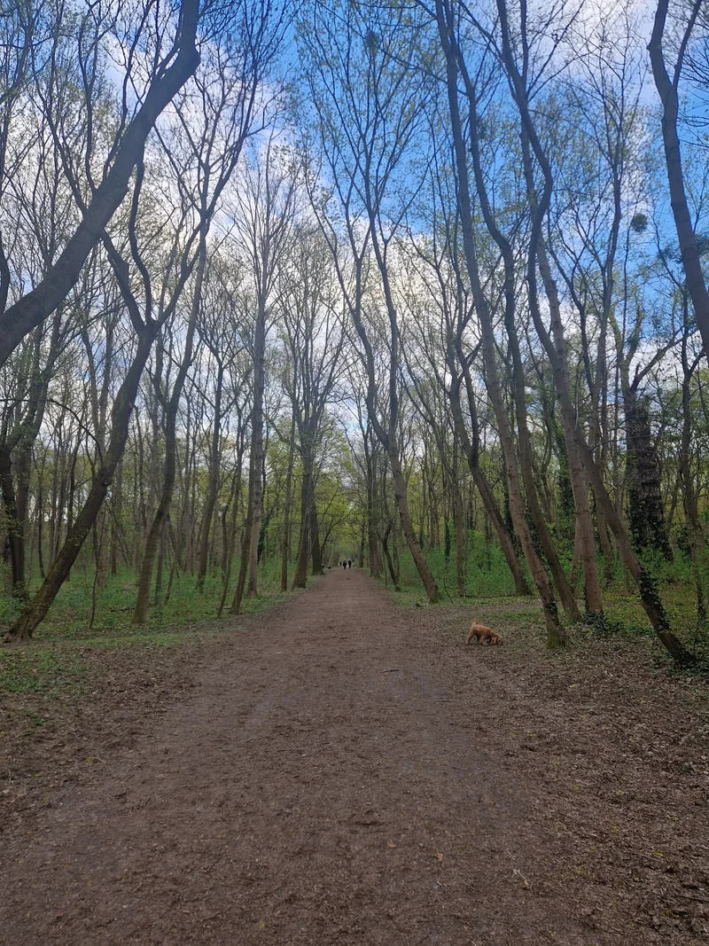 Prater - Pelzmais im 2. Leopoldstadt – Eingang (Foto 4)