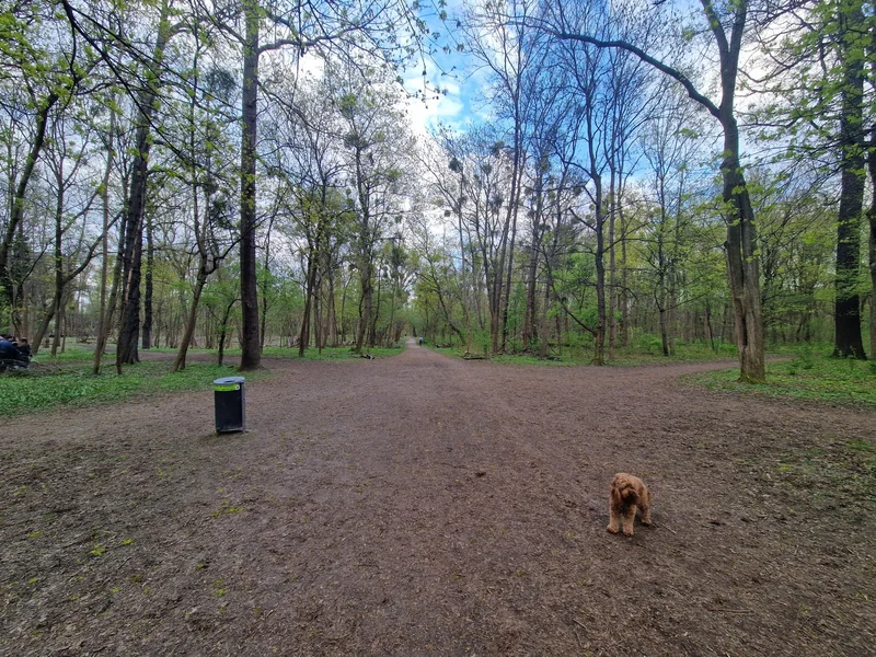 Prater - Pelzmais im 2. Leopoldstadt – Überblick (Foto 6)