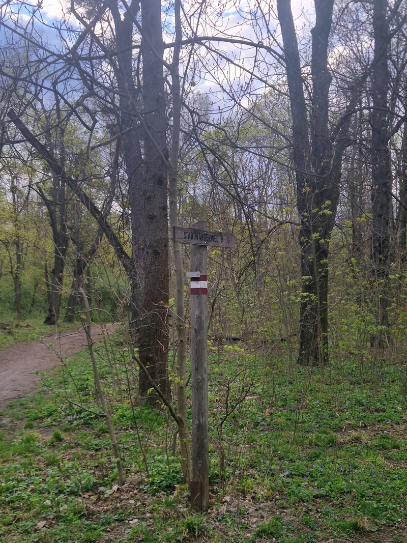 Prater - Pelzmais im 2. Leopoldstadt – Bereich (Foto 7)