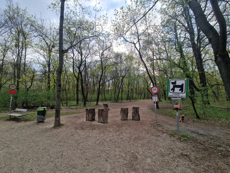 Prater - Rustenschacher im 2. Leopoldstadt – Hundezone (Foto 1)