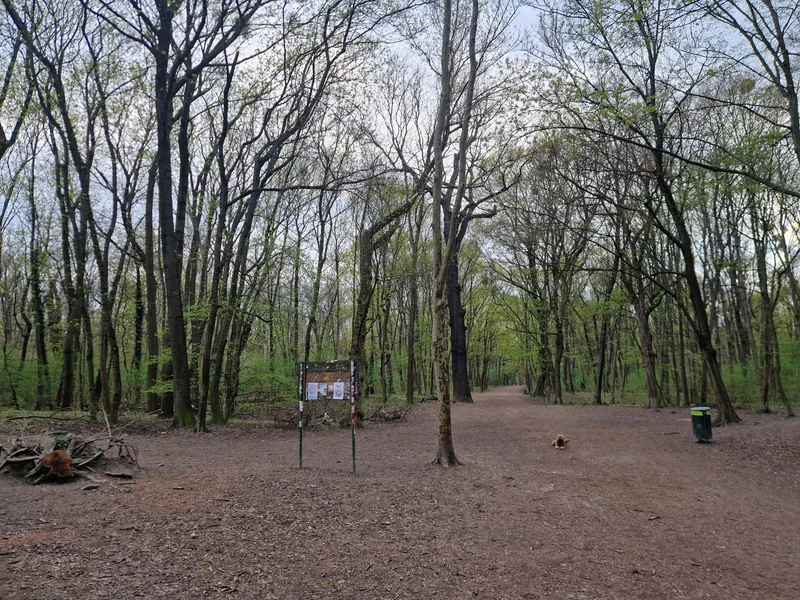 Prater - Rustenschacher im 2. Leopoldstadt – Auslaufbereich (Foto 3)