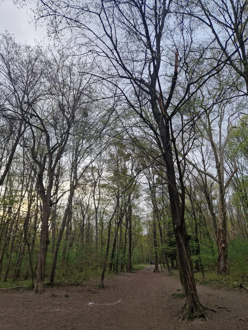 Prater - Rustenschacher im 2. Leopoldstadt – Eingang (Foto 4)