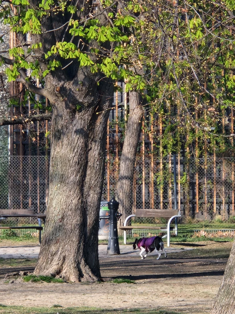 Venediger-Au-Park im 2. Leopoldstadt – Eingang (Foto 4)