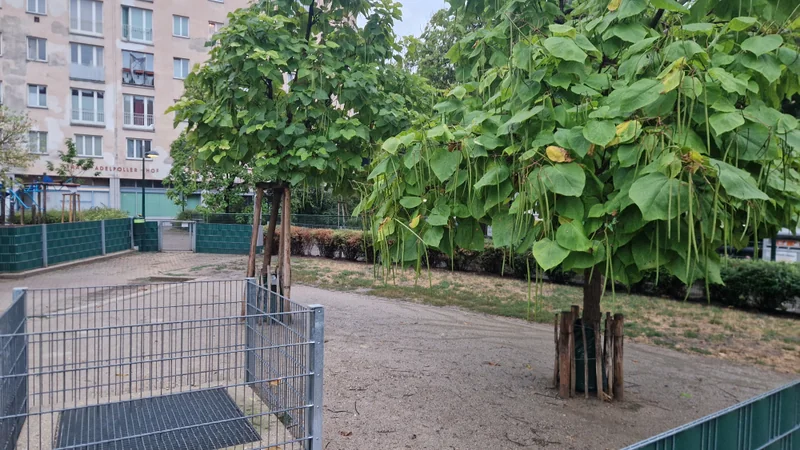 Bock-Park im 3. Landstraße – Hundewiese (Foto 2)