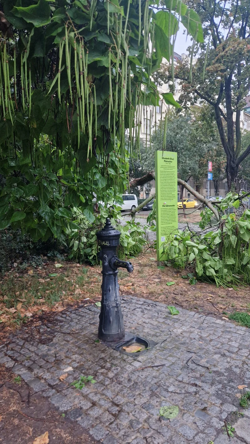 Hundertwasser-Promenade im 3. Landstraße – Gelände (Foto 5)
