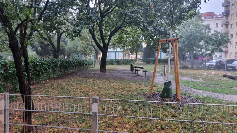 Kardinal-Nagl-Park im 3. Landstraße – Hundezone (Foto 1)