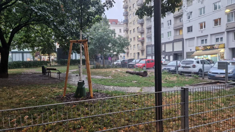 Kardinal-Nagl-Park im 3. Landstraße – Hundewiese (Foto 2)