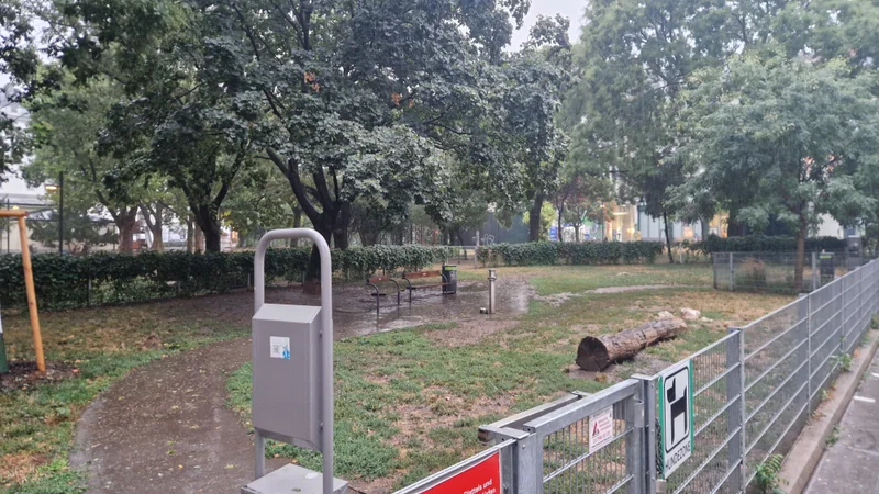 Kardinal-Nagl-Park im 3. Landstraße – Auslaufbereich (Foto 3)