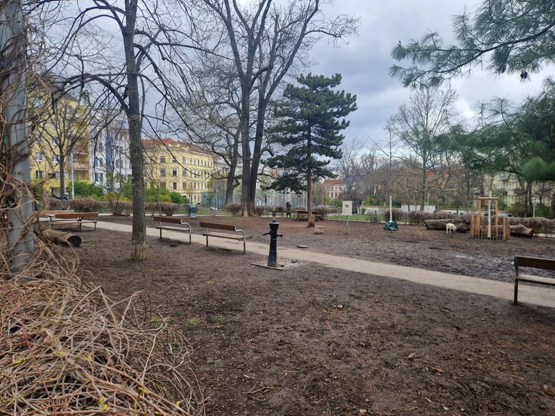 Schubertpark im 18. Währing – Auslaufbereich (Foto 3)