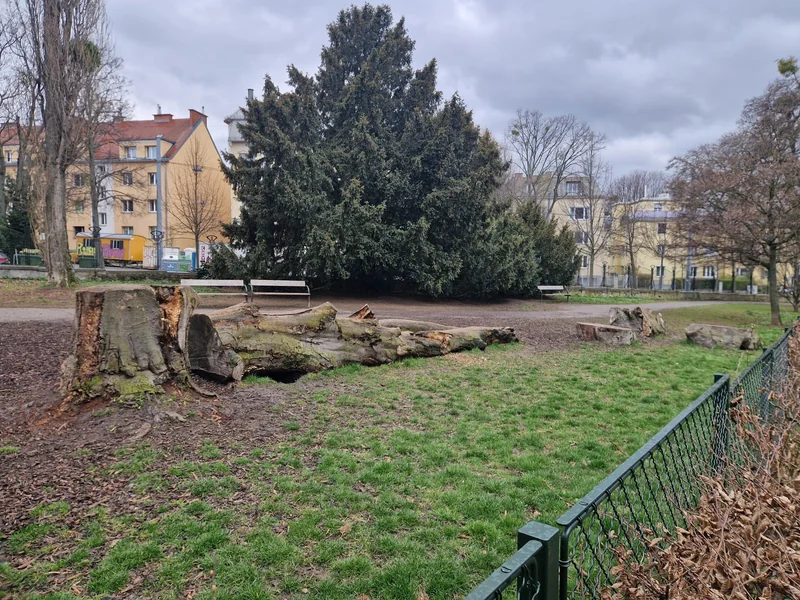 Türkenschanzpark im 18. Währing – Gelände (Foto 5)