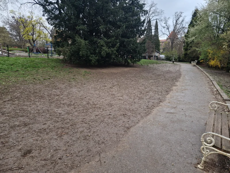 Türkenschanzpark im 18. Währing – Auslaufbereich (Foto 3)