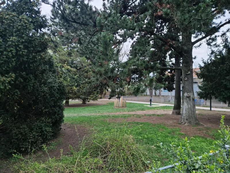 Währinger Park im 18. Währing – Auslaufbereich (Foto 3)