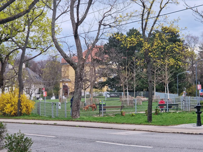 Hayekpark im 19. Döbling – Hundewiese (Foto 2)