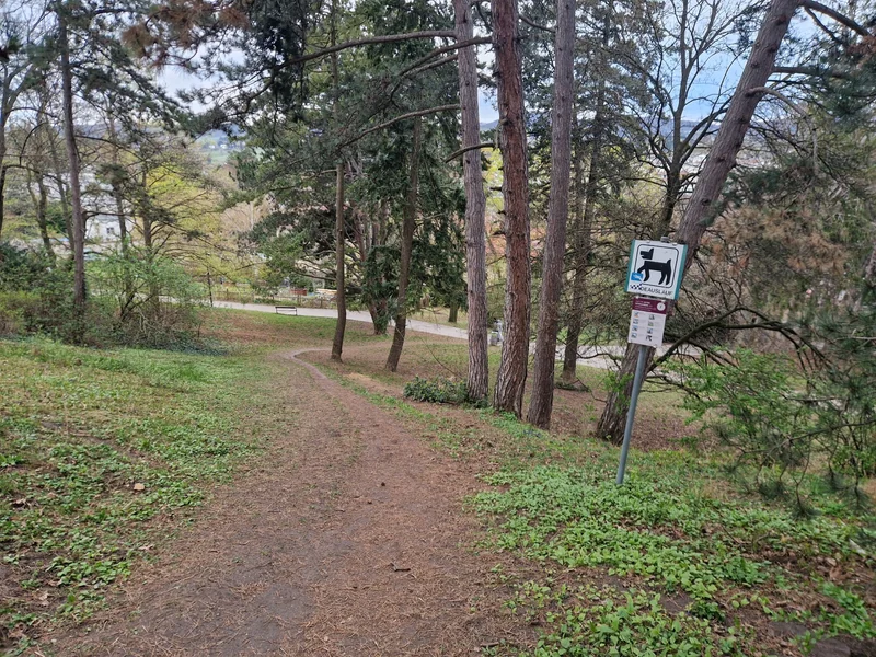 Hugo-Wolf-Park im 19. Döbling – Hundezone (Foto 1)