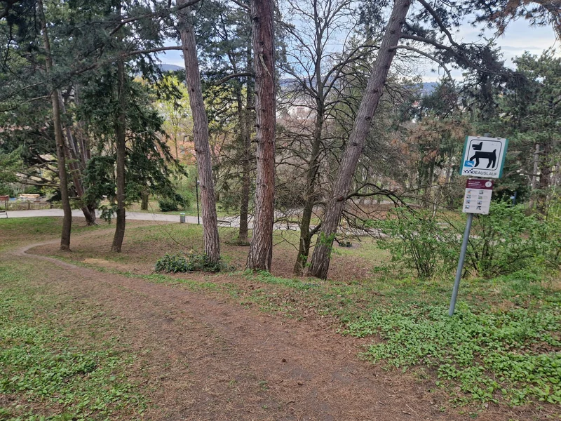 Hugo-Wolf-Park im 19. Döbling – Hundewiese (Foto 2)
