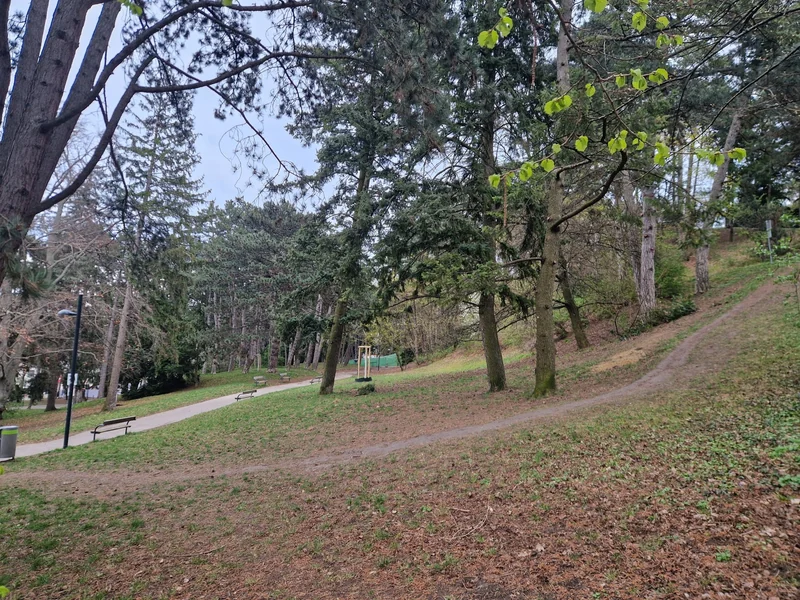 Hugo-Wolf-Park im 19. Döbling – Auslaufbereich (Foto 3)