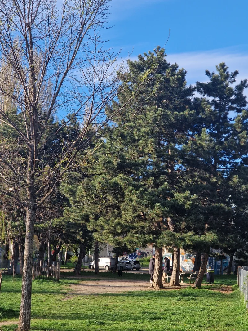 Anton-Schmid-Promenade/AP im 20. Brigittenau – Auslaufbereich (Foto 3)