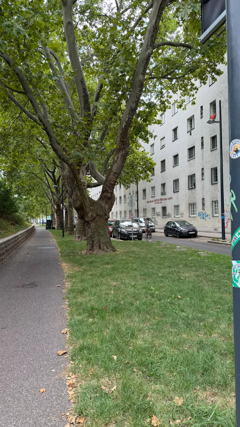 Durchlaufstraße im 20. Brigittenau – Hundewiese (Foto 2)