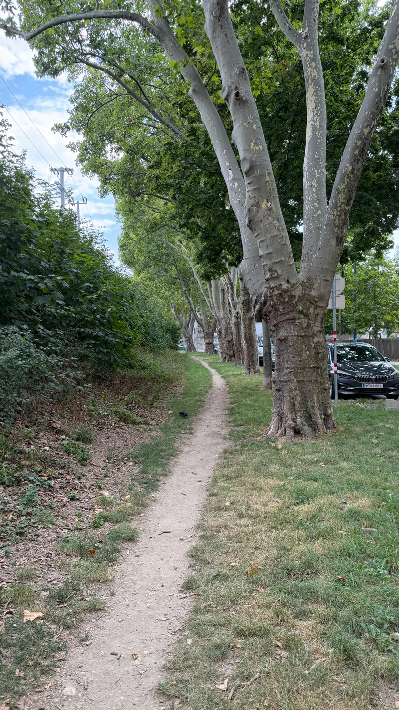 Durchlaufstraße im 20. Brigittenau – Hundewiese (Foto 2)