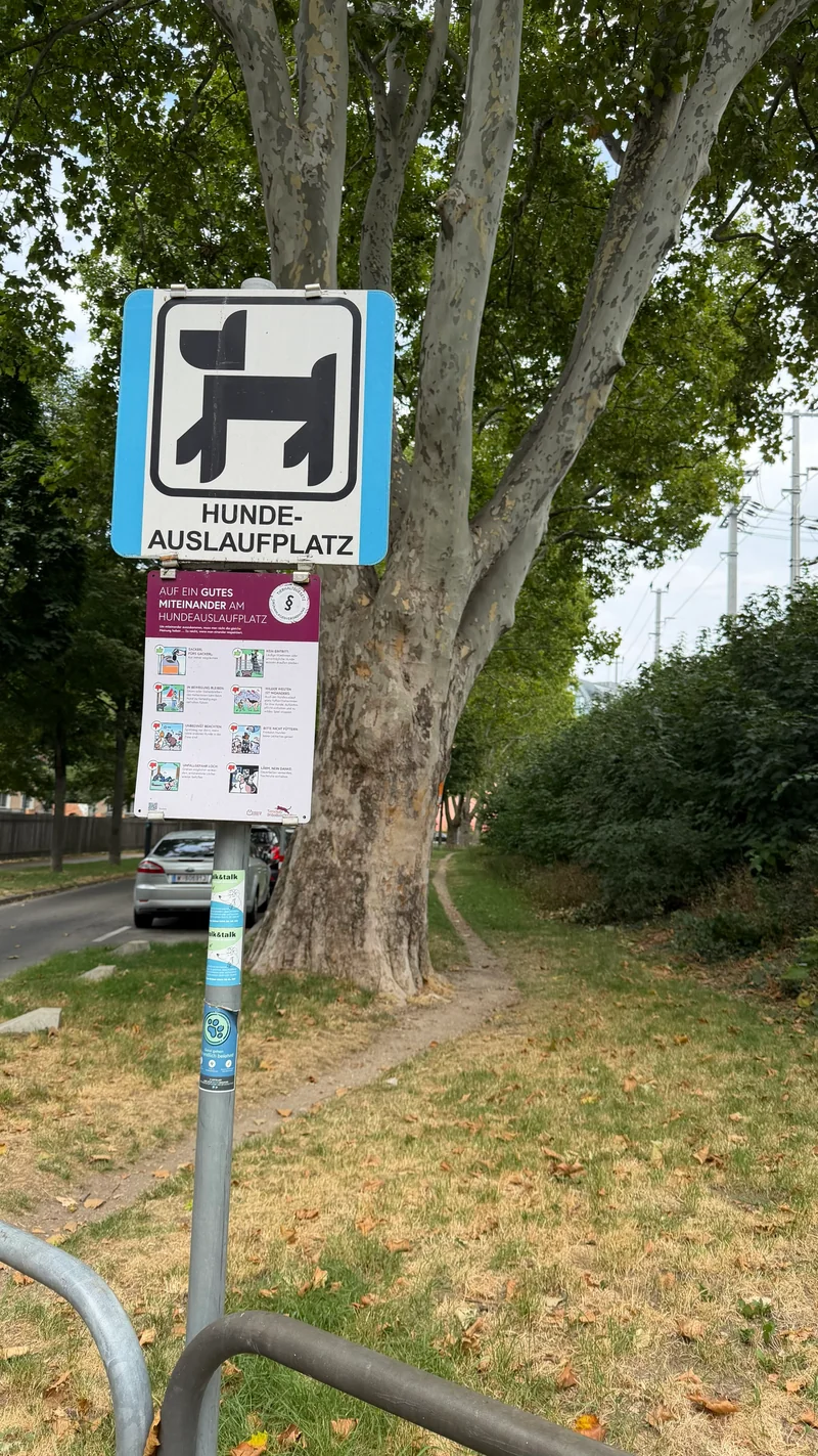 Durchlaufstraße im 20. Brigittenau – Auslaufbereich (Foto 3)