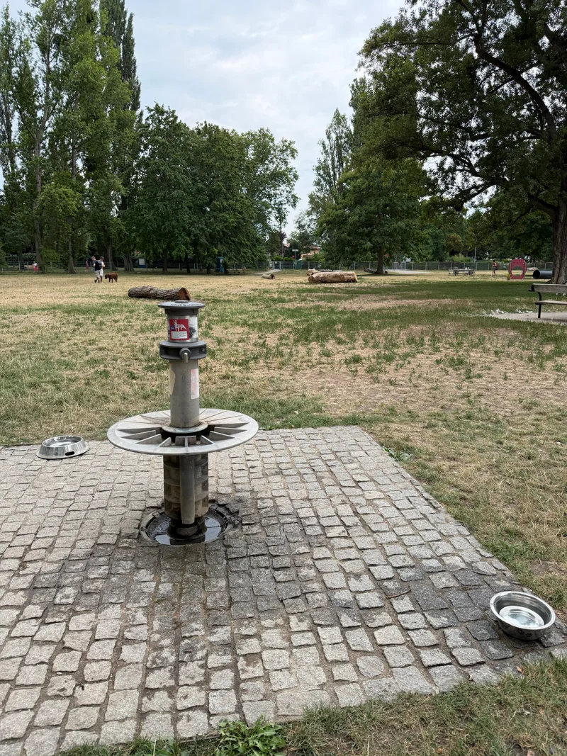 Ferdinand-Kaufmann-Platz im 21. Floridsdorf – Auslaufbereich (Foto 10)