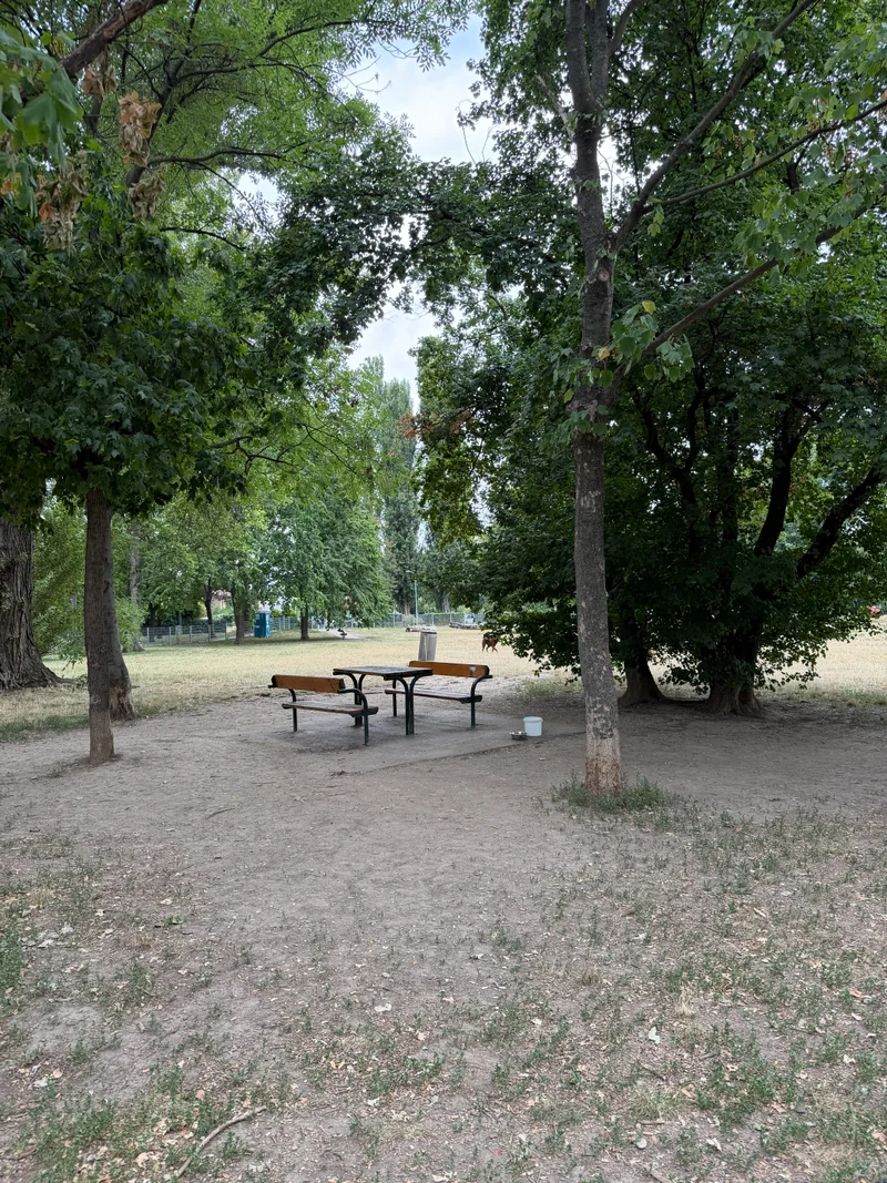 Ferdinand-Kaufmann-Platz im 21. Floridsdorf – Hundezone (Foto 15)
