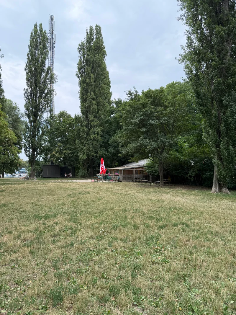 Ferdinand-Kaufmann-Platz im 21. Floridsdorf – Auslaufbereich (Foto 17)