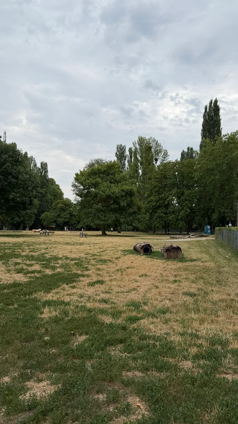 Ferdinand-Kaufmann-Platz im 21. Floridsdorf – Auslaufbereich (Foto 3)