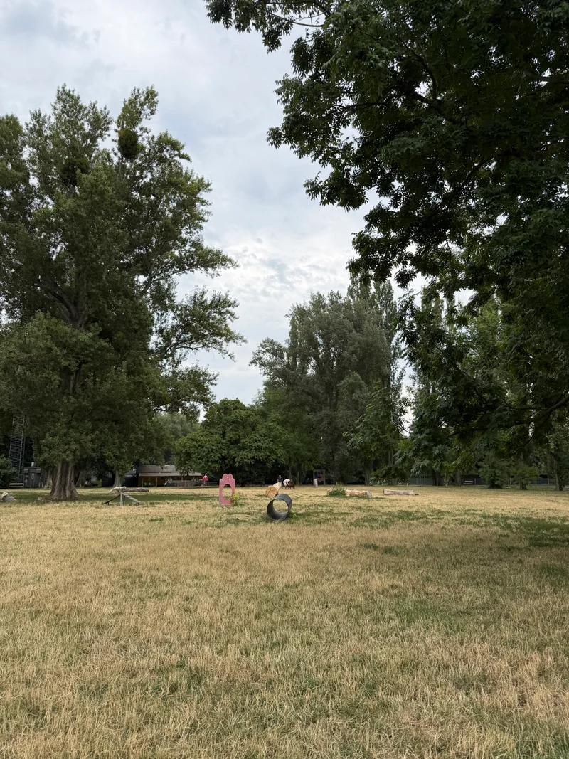 Ferdinand-Kaufmann-Platz im 21. Floridsdorf – Eingang (Foto 4)