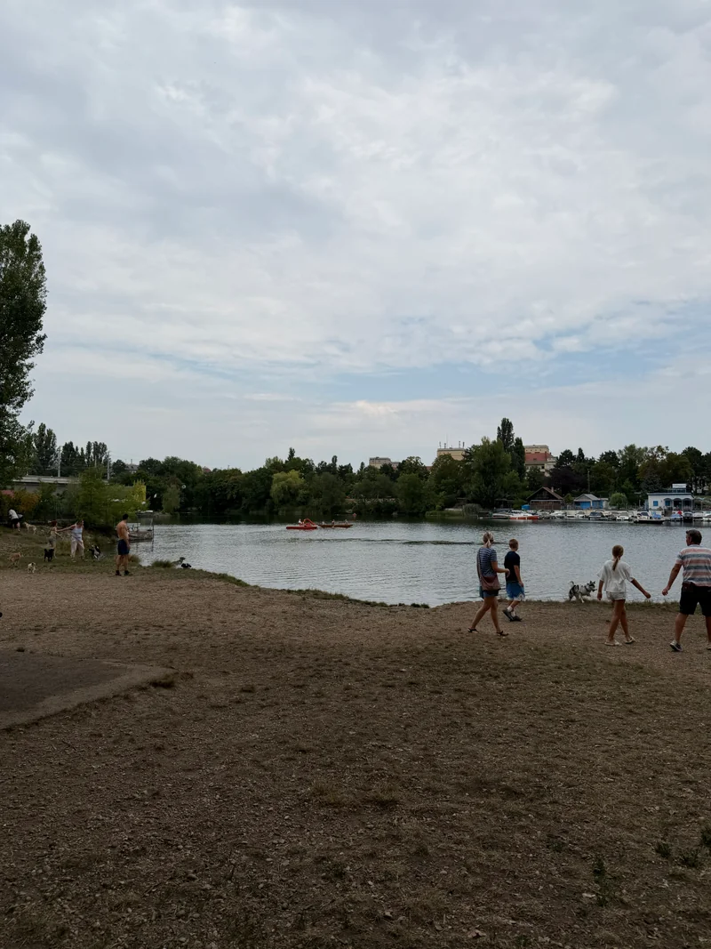 Ferdinand-Kaufmann-Platz im 21. Floridsdorf – Hundezone (Foto 8)