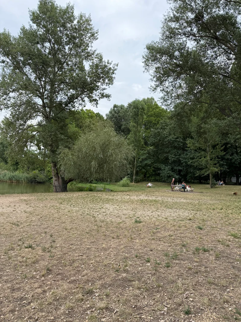 Ferdinand-Kaufmann-Platz im 21. Floridsdorf – Hundewiese (Foto 9)