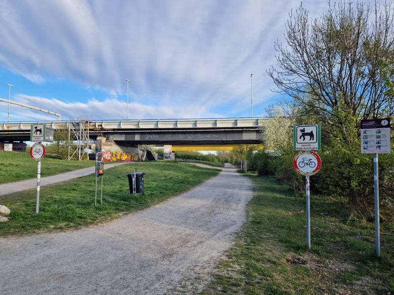 Hundeauslaufplatz Donauinsel Nord (MA45) im 21. Floridsdorf – Hundezone (Foto 1)