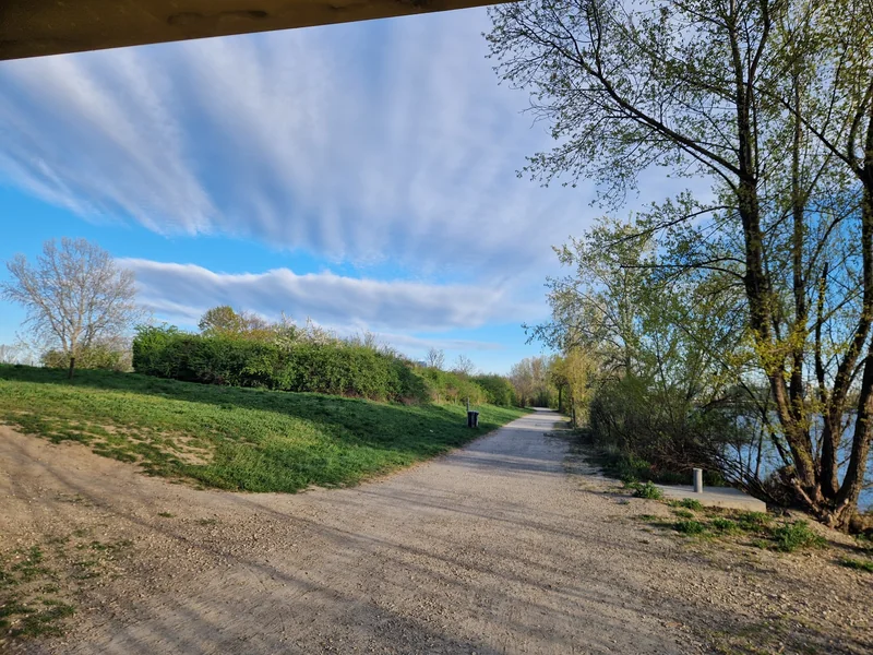 Hundeauslaufplatz Donauinsel Nord (MA45) im 21. Floridsdorf – Hundewiese (Foto 2)
