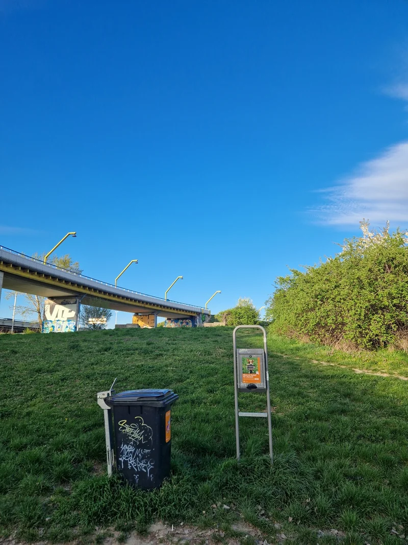 Hundeauslaufplatz Donauinsel Nord (MA45) im 21. Floridsdorf – Auslaufbereich (Foto 3)