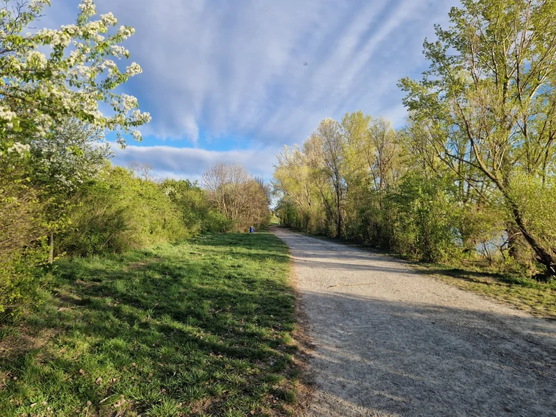 Hundeauslaufplatz Donauinsel Nord (MA45) im 21. Floridsdorf – Gelände (Foto 5)