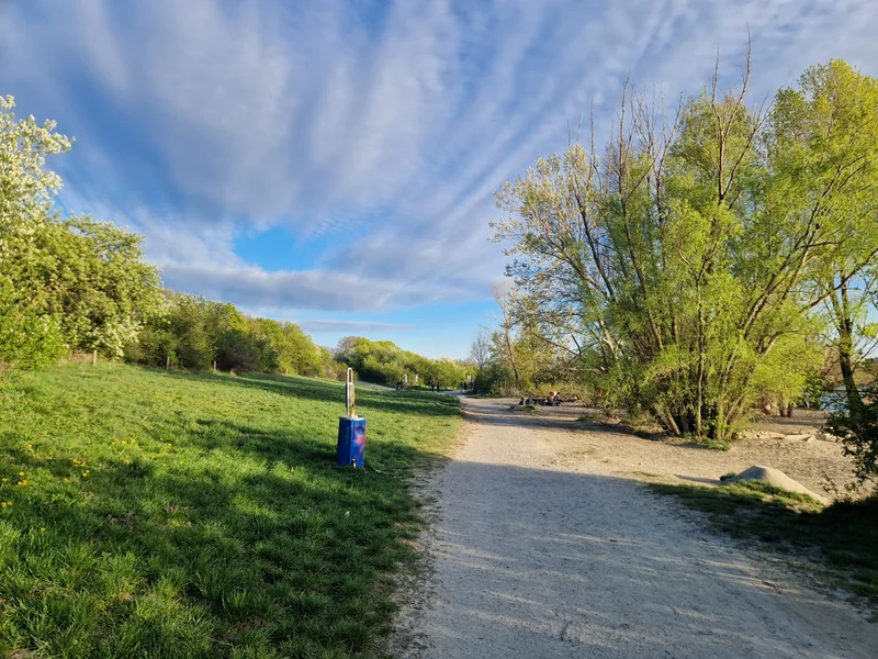 Hundeauslaufplatz Donauinsel Nord (MA45) im 21. Floridsdorf – Bereich (Foto 7)