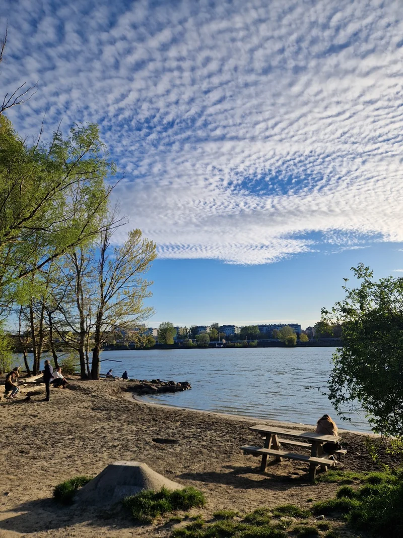 Hundeauslaufplatz Donauinsel Nord (MA45) im 21. Floridsdorf – Hundezone (Foto 8)