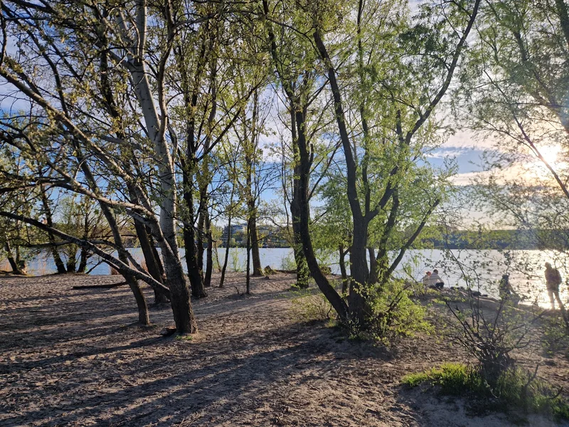 Hundeauslaufplatz Donauinsel Nord (MA45) im 21. Floridsdorf – Hundewiese (Foto 9)