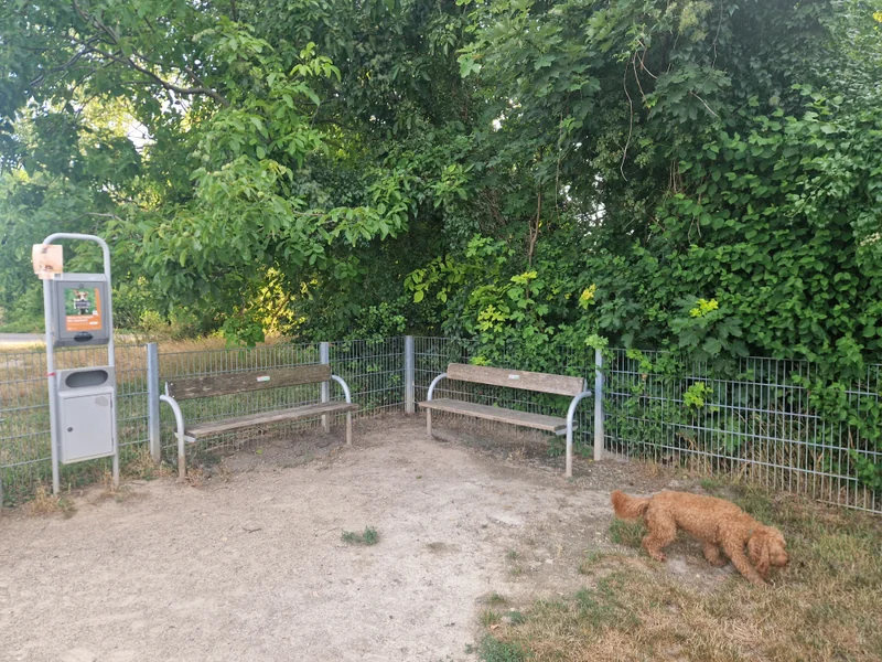 An den alten Schanzen Hundezone im 22. Donaustadt – Hundewiese (Foto 2)