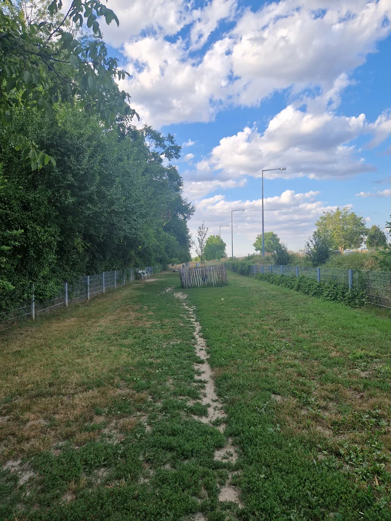 An den alten Schanzen Hundezone im 22. Donaustadt – Auslaufbereich (Foto 3)