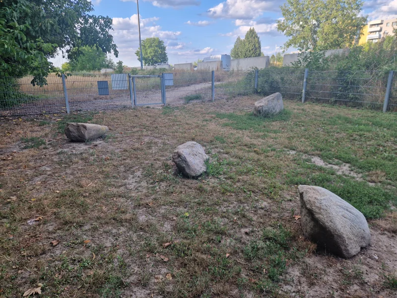 An den alten Schanzen Hundezone im 22. Donaustadt – Gelände (Foto 5)