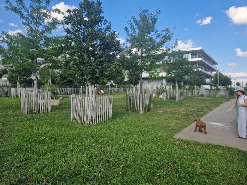 Elinor-Ostrom-Park im 22. Donaustadt – Hundewiese (Foto 2)