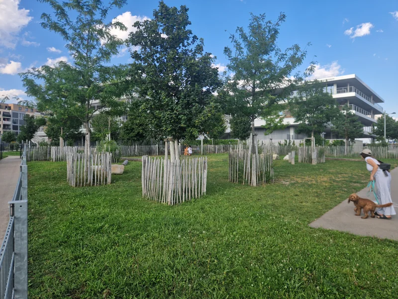 Elinor-Ostrom-Park im 22. Donaustadt – Auslaufbereich (Foto 3)