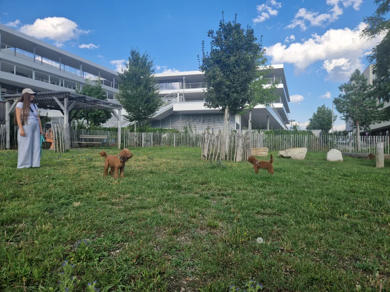 Elinor-Ostrom-Park im 22. Donaustadt – Überblick (Foto 6)
